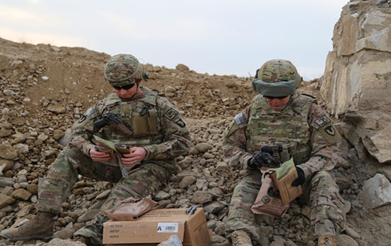 Military Nutrition