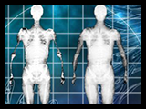 News: USARIEM develops virtual X-rays of anatomic avatars